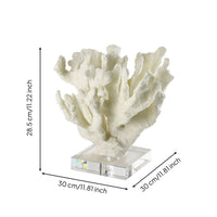 Coral Sculpture with Acrylic Base Textured Coral Sculpture Ocean-Themed