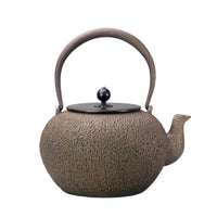 Cast Iron Teapot Traditional Kettle Loose Leaf Vessel for Tea Lovers, Collectors