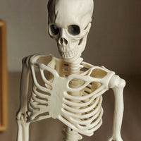 Light-up Halloween Mermaid Skeleton Articulated Skeleton with Mermaid Tail Posable Prop Movable for Haunted House, Porch