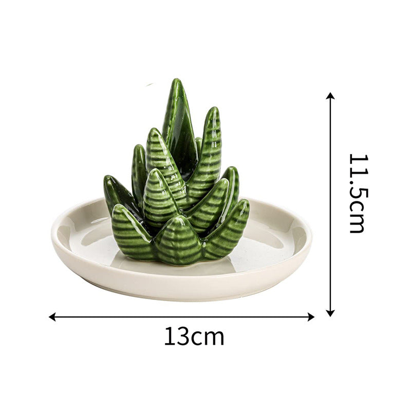 13CM Aloe