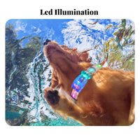 High Visibility LED Pet Collar Multiple Flash Modes Light up Pet Collar Adjustable