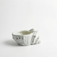 Conch Shell Planter Decorative Succulent Planter Beach Themed