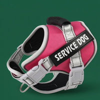 Quick-Release Buckles Service Dog Harness Metal Leash Rings Padded Mesh Harness Top Handle Service Dog Vest Adjustable for Low Light