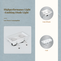 Adjustable double LED downlight