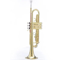 Bb Trumpet pyxh001 Student Beginner Professional Brass Instrument
