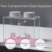 Glass Betta Fish Enclosure with Divider and Lighting