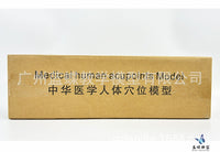 52CM Acupuncture Meridian Human Body Model with Acupuncture Points for Practice