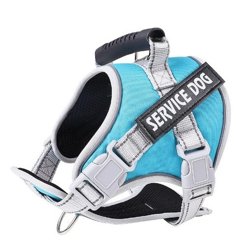 S / Light Blue Harness