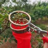摘花椒神器摘枣枇杷桑葚农用工具 专用省力花椒剪花椒采摘剪