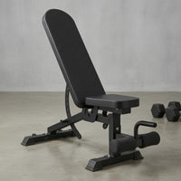 Adjustable Dumbbell Bench Padded Multifunctional Exercise Bench Steel Frame