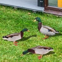 3mm Acrylic Double-Sided Printed Duck Yard Art Mirror Wall Sticker