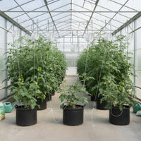 10 Pieces Tomato Plant Roller Hook White Tomato Trellis Roller Hook Reusable