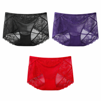 Women's Underwear with Lace Detailing and Gusset Lining, Breathable Ice Silk Panties for Everyday Wear, Seamless No Show Knickers