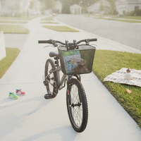 Kids Cycle Basket Portable Handle Kids Bike Basket Decorative for Cycling