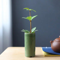 Plant Pots for Indoor Plants and Bonsai Pot, Glazed Chinese Style Indoor Plant Pot for Home Office, Handmade Small Cylindrical Ice Crack Design