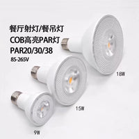 LED 帕灯PAR20 PAR38 调光18W15W灯泡E27聚光射灯灯杯110V美规E26