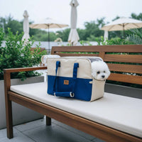 Pet Shoulder Carrier Breathable Portable Dog Carrier Foldable for Outdoor