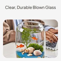 Desktop Glass Fishbowl Set, Mini Betta Aquarium Habitat