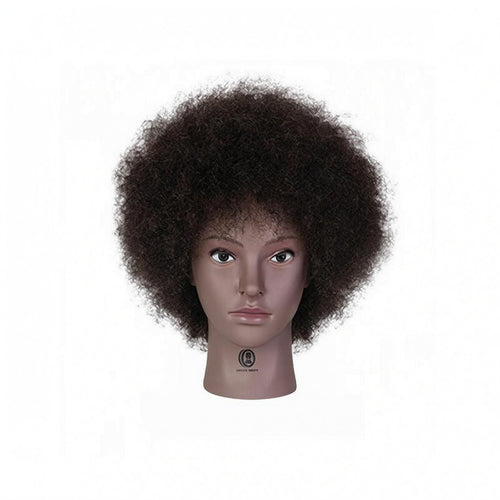 Afro Texture Mannequin Head Dense Ringlets Afro Mannequin Head Cutting