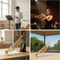 B♭ Trumpet Preserving 	 B Flats Trumpet Polished Brass Instrument for School Bands