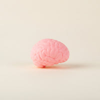 Soft Brain Stress Ball Flexible Brain Press Toy Sensory Handheld for Adults, Students, Office, Classroom, Desk