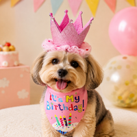 Dog Birthday Hat for Photo Shoot, Pet Costume Two-Piece Set, Letter Print Dog Birthday Bandana for Party, Fashionable Design