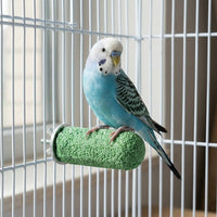 Parrot Perch Standing with Irregular Wavy Shape, Sanding Stone gnaw Toy for Grinding Claws and Beak, Bird Cage Perch Stand for Cockatiels