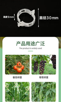 绿植果树植物固定夹卡扣藤蔓固定器秧苗爬藤支撑杆果蔬秧苗吊夹