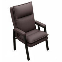 Modern Design Padded Leisure Chair Ergonomic Design Armchair Long-Lasting Frame Living Room Seating Wear-Resistant for Homeowners, Interior Decorators, Home Office, Lounge Area, Bedroom, Reading Corner