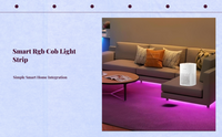 RGBIC LED Strip, Music Sync, App