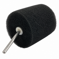 polishing sponge