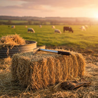 Double-Sided Cattle Brush Relieves Itching Serrated Livestock Curry Comb