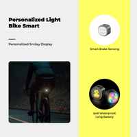 Brake tail light, waterproof, USB-C.