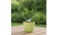 Soil Moisture Alarm with Bird Design High-Quality for Potted Plants, Office Desk