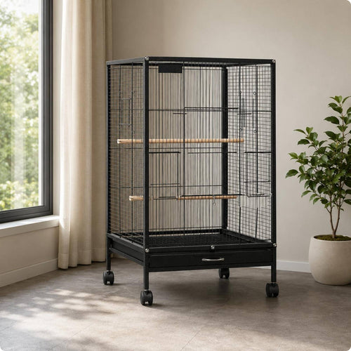 Metal Bird Enclosure Wooden Perches Wire Bird Enclosure Food Boxes