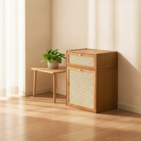 Breathable Storage Cabinet with Woven Door Modular Storage Cabinet with Doors Space-Saving Wooden Bin Multi-Use for Bedroom, Small Apartments, Entryway
