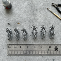 Napoleonic Wars French Cavalry Officer Wargame 3D Printed Miniatures