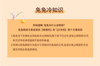 兔笼防喷尿大号兔子窝笼子荷兰猪豚鼠笼自动清粪宠物专用室内家用