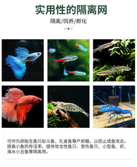 鱼缸孵化盒/隔离网 新生鱼苗小鱼隔离盒水族箱鱼缸