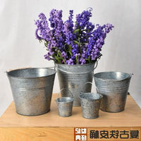 Vintage Iron Bucket Planter for Flowers and Storage