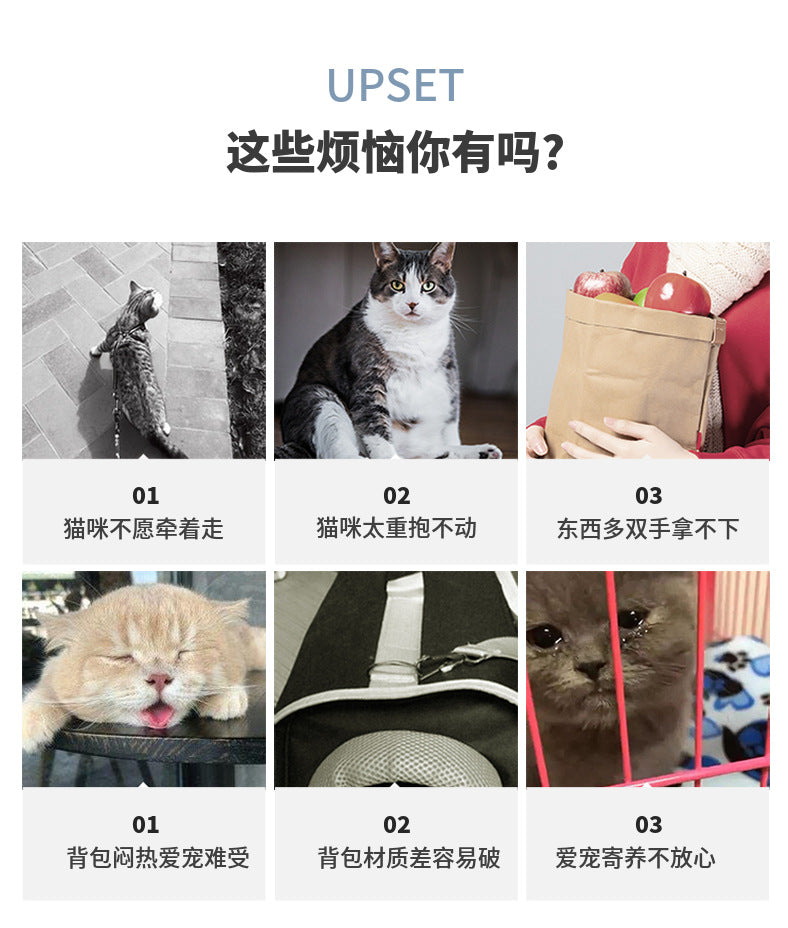 Woven Rattan Pet Carrier Shoulder Bag
