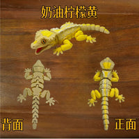 跨境可磁吸仿真睫角守宫蜥蜴关节可动玩具工艺摆件塑料工艺品