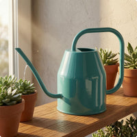 Galvanized Metal Watering Can Compact Galvanized Watering Can Exposed Top