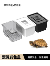 乌龟保温盒发色专用养龟缸孵化饲养箱黄缘龟蛋龟育苗隔离盒沉淀板