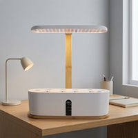 Countertop Hydroponic Planter with LED Grow Light Compact Hydroponic Planter Slimline Indoor Garden with Grow Light Transparent for Apartment Dwellers, Gardeners, Kitchen, Office, Windowsill