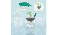 30 Pieces Self-Watering Seedling Cup with Dome Transparent for Teachers