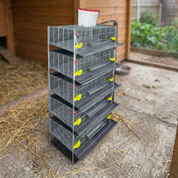 Multi-Tier Quail Cage with Automatic Manure Removal Cage System, 1.95m Elevated Quail Cage for Quail Farming, Large Size Small Animals Habitat