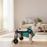 Rehabilitation Dog Wheelchair Foldable Dog Wheelchair Carrier Chest Straps