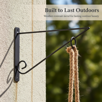 Iron Art Wall-Mounted Planter Hook for Balcony & Garden
