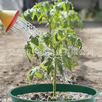跨境园艺植物地栽保护罩PlantingGrowRings隔离生长环植物种植环